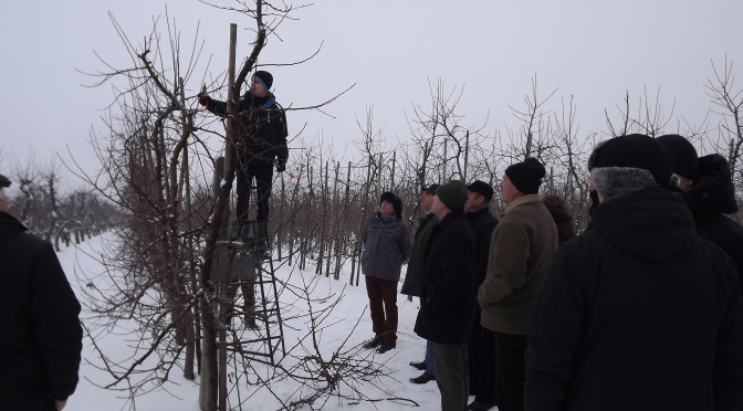 Fot. 1. Szkolenie z cięcia z FruitAkademią